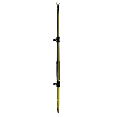 Porte-skis Thule SkiClick 7291
